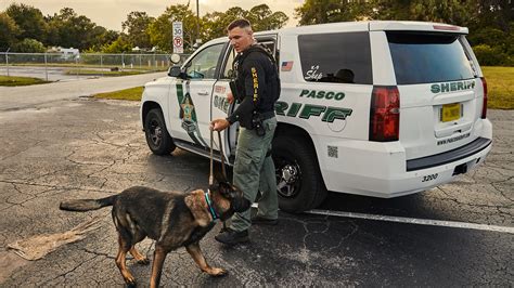 Pasco county sheriff scanner online - Free. In-App Purchases. Police Scanner, Fire Radio Pro $39.99. Radio Scanner Pro Weekly $2.99. Radio Scanner Pro Monthly $9.99. more. Developer Website. App Support.